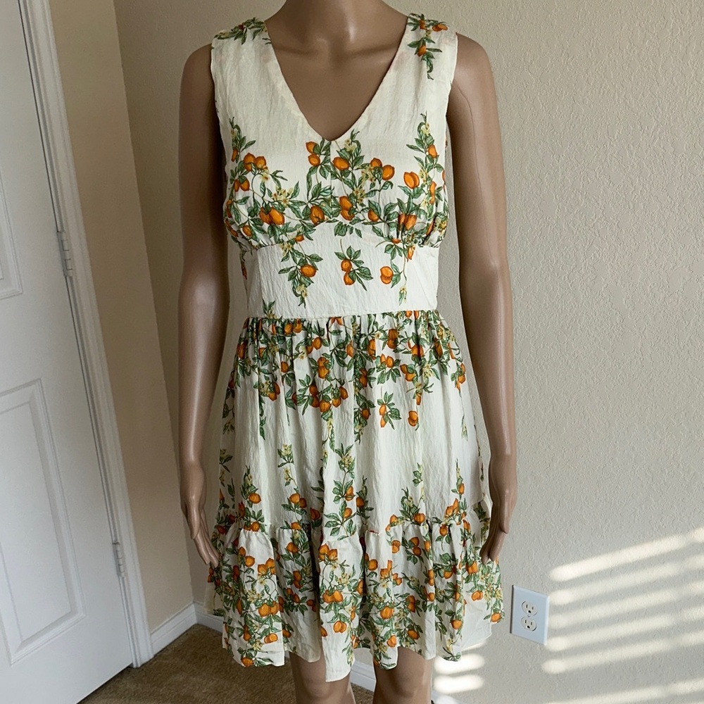 NWT Taylor Cream Mini Dress with Orange Blossom Print Size 10 - Picture 1 of 14